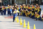 “奔跑吧·少年”系列活动在邢台相继开展 - 体育局