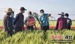 石家庄市无极县农技人员向农户讲授如何识别小麦病虫害赤霉病、条锈病。 韩琳 摄 - 中国新闻社河北分社