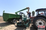 图为农机手正在给农机添加肥料。　 高雷 　摄 - 中国新闻社河北分社