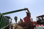 图为农机手正在给农机添加肥料。　 高雷 　摄 - 中国新闻社河北分社