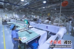 图为廊坊经济技术开发区一企业车间内工作人员在缝纫生产线上忙碌着。 陈童 摄 - 中国新闻社河北分社