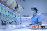 图为廊坊经济技术开发区一企业车间内工作人员在缝纫生产线上忙碌着。 陈童 - 中国新闻社河北分社