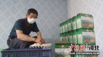 农民在迁西县渔户寨乡高窝子村种养殖一体化的绿色生态产业基地里包装鸡蛋。 作者 韩江平 - 中国新闻社河北分社
