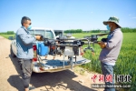 图为农技人员正在操控植保无人机开展“一喷三防”作业。杨佳琳 摄 - 中国新闻社河北分社