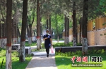 图为涿州市口袋公园一景。 邢占山 摄 - 中国新闻社河北分社