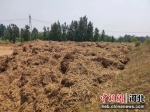 河北省内最大的集生物质有机肥、秸秆综合利用示范基地。焦洛 摄 - 中国新闻社河北分社