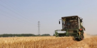 小麦联合收割机在进行田间作业。供图 - 中国新闻社河北分社