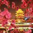 沧州市大运河景观带城区段夜景 苑立伟 摄 - 中国新闻社河北分社