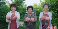 村民们展示成熟的鲜桃。　张保卫 摄 - 中国新闻社河北分社