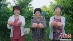 村民们展示成熟的鲜桃。　张保卫 摄 - 中国新闻社河北分社