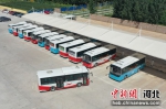 图为永清县公交公司停车场停放的部分公交车。 - 中国新闻社河北分社
