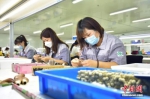 资料图为2022年6月9日，青县某制刷厂生产线上，员工们在对化妆刷进行修型。 中新社发 尹向平 摄 - 中国新闻社河北分社