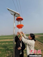 图为植保人员在查看太阳能杀虫灯运行情况。　高雷 摄 - 中国新闻社河北分社