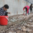 村民正在采摘羊肚菌。　陈章栋 摄 - 中国新闻社河北分社
