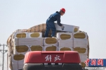 工人从卡车上卸载建筑材料。 - 中国新闻社河北分社
