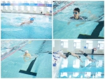 河北体育馆杯成人游泳单项竞技赛、首届羽毛球系列赛圆满举行 - 体育局