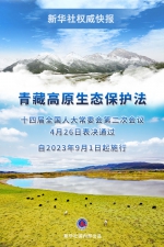 青藏高原生态保护法表决通过，9月1日起施行 - 河北新闻门户网站