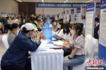 图为2023年京津冀残疾人就业洽谈会现场。　河北省残联供图 - 中国新闻社河北分社