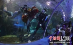 图为工作人员为游客表演“海底舞龙”。 曹建雄 摄 - 中国新闻社河北分社