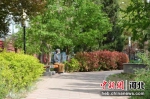 一老人正在“口袋公园”的座椅上休息赏景。 供图 - 中国新闻社河北分社