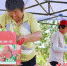 图为农户正在把采摘的桃子打包装箱。 陈英华 s - 中国新闻社河北分社