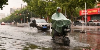 图为7月31日，市民在石家庄市栾城区街头冒雨出行。图/视觉中国 - 中国新闻社河北分社