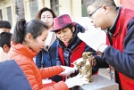 “便携式文物展” 走进特教学校 - 河北新闻门户网站