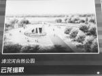 滹沱河沿岸将再修12座公园 - 政府