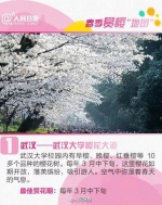 清明节放假通知发布！想踏青赏花的看过来… - Hebnews.Cn