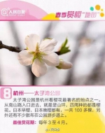 清明节放假通知发布！想踏青赏花的看过来… - Hebnews.Cn