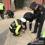 石家庄市交警、城管联合执法拆除非法停车场 - Sjz.Hebnews.Cn