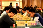 图为围棋选手在比赛中。 刘凤娟 摄 - 中国新闻社河北分社