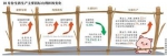 全国生猪生产进入止降回升转折期 供需矛盾有所缓解 - 中国新闻社河北分社